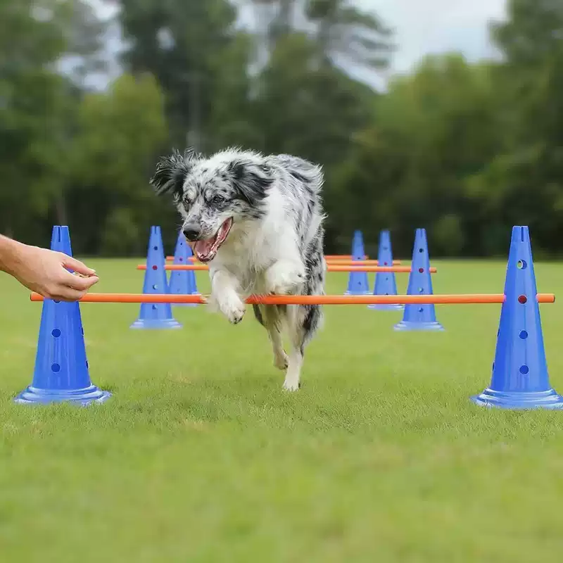 30CM Dog Agility Obstacle Set, - Agility Hurdle Set review and price