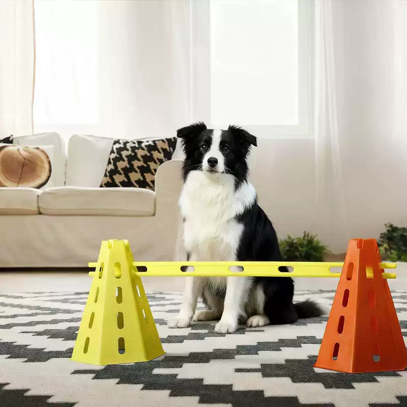 30CM Dog Agility Obstacle Set, - Agility Hurdle Set review and price