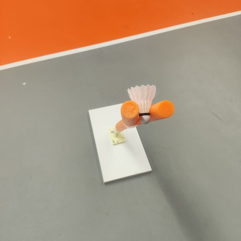 Children Badminton Pick Serve  - Sports Equipment Badminton review and price