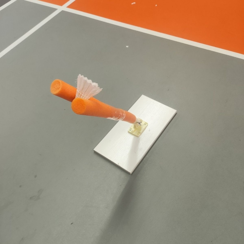 Children Badminton Pick Serve  - Sports Equipment Badminton review and price