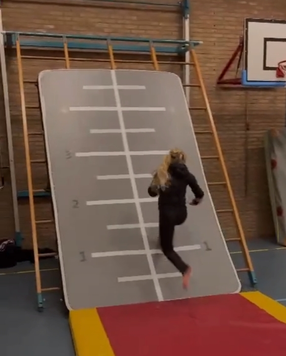 3m 5m 6m 8m 10m 12m Big Size I - Tumbling Air Track review and price