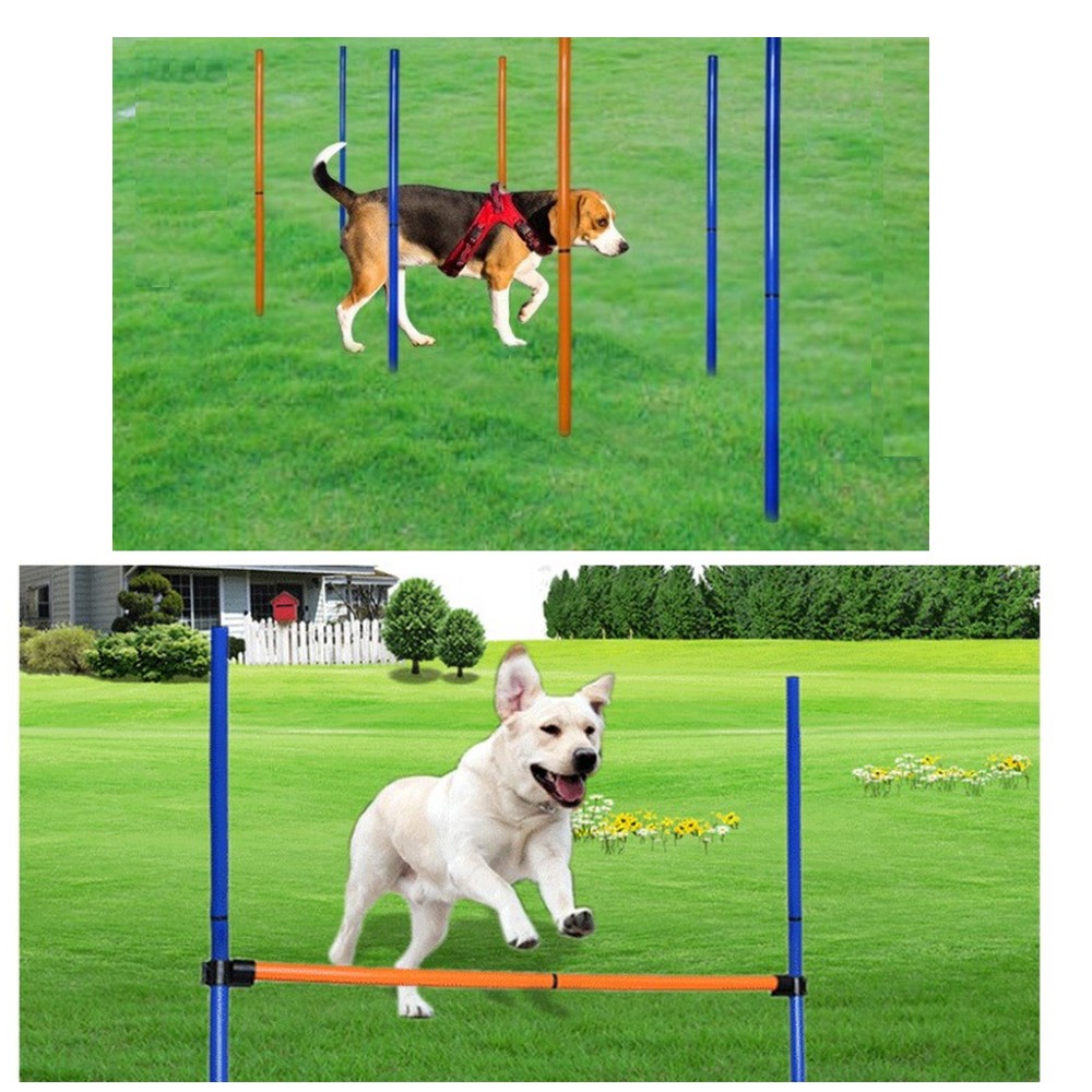 Pet Dog Agility Equipment Set  - Agility Hurdle Set review and price