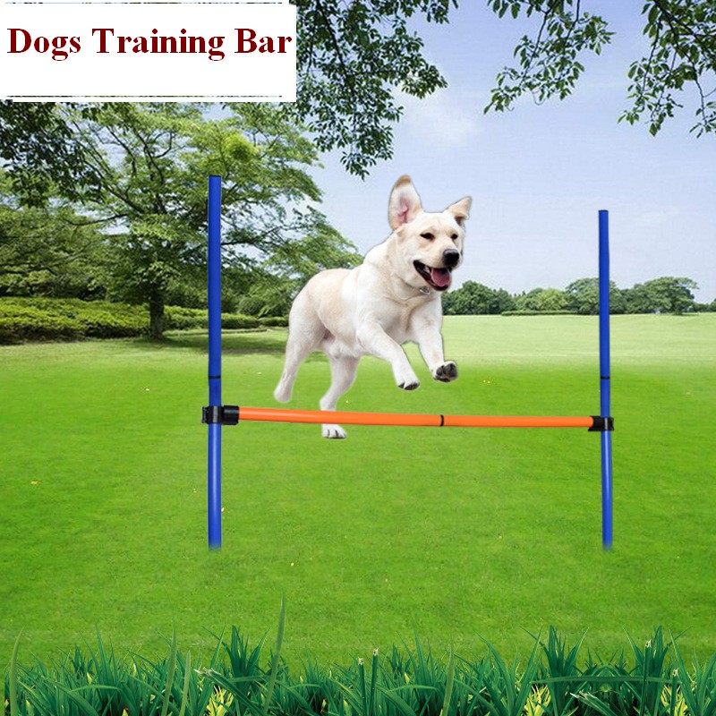 Pet Dog Agility Equipment Set  - Agility Hurdle Set review and price