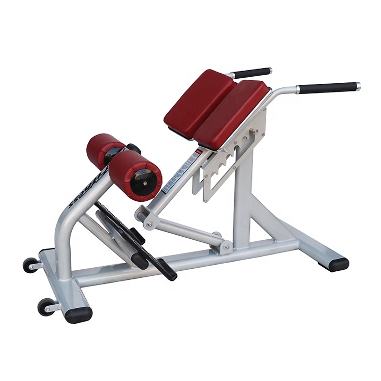 Unisex Roman Chair Adjustable  - Sports Equipment In School review and price