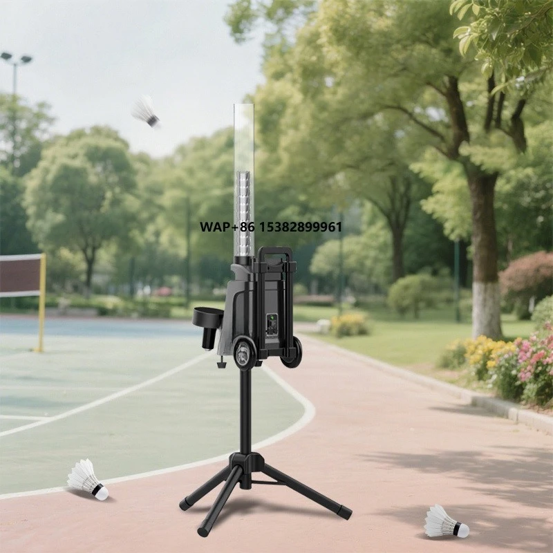 2025 New Design Shuttlecock Fe - Sports Equipment Badminton review and price