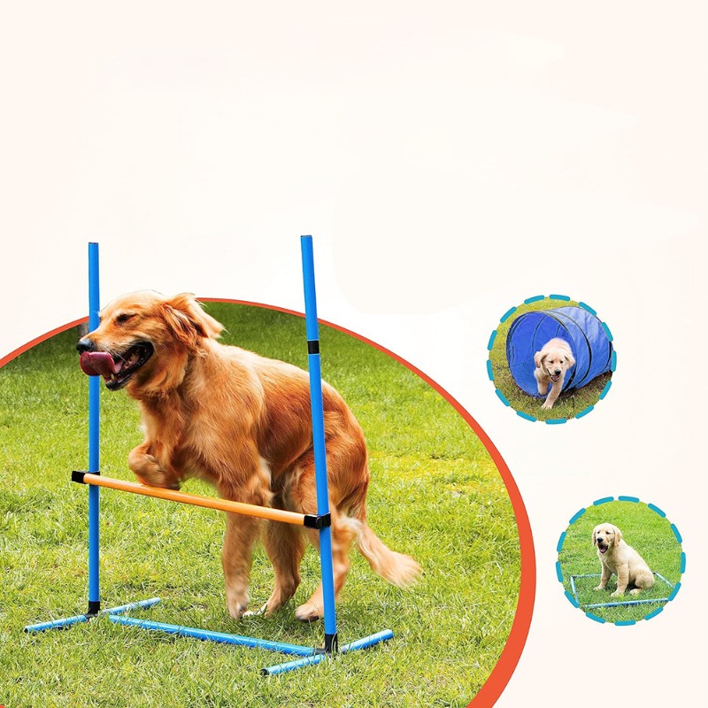 Amazon Dog Training Equipment  - Agility Hurdle Set review and price