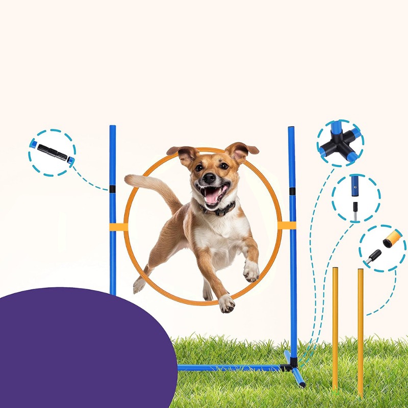 Amazon Dog Training Equipment  - Agility Hurdle Set review and price