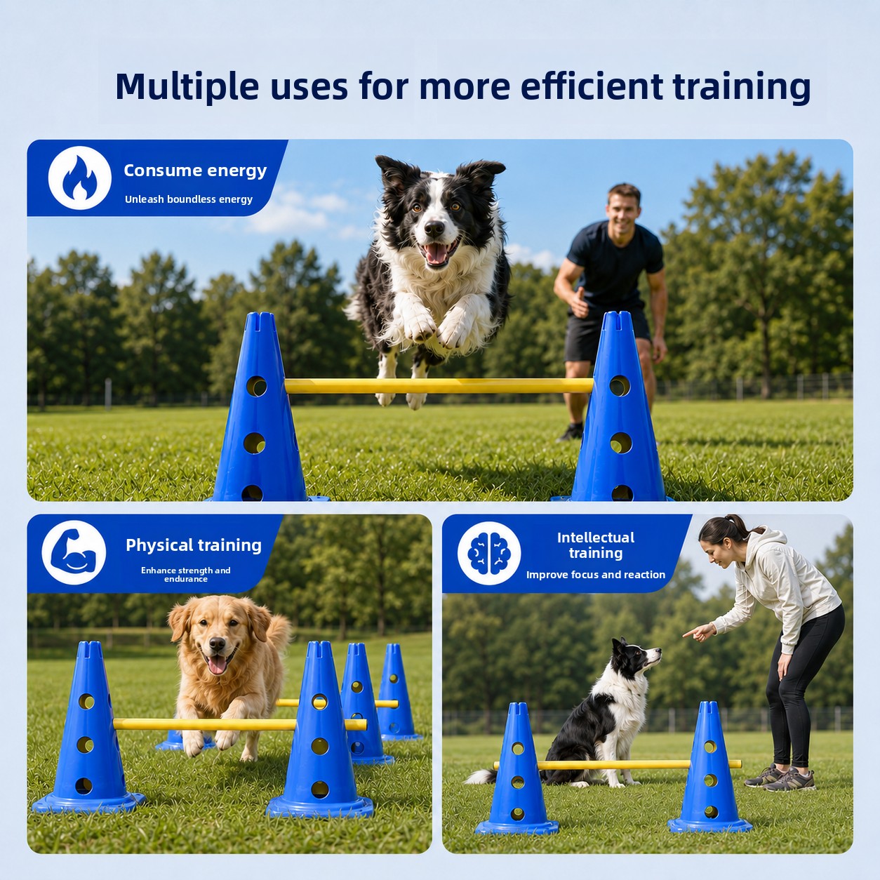ZHAYA Dog Agility Training Set - Agility Hurdle Set review and price